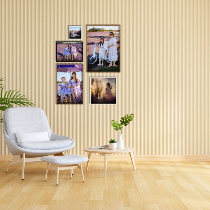 DINAMIC - Galerie 5 Tablouri cu Ramă